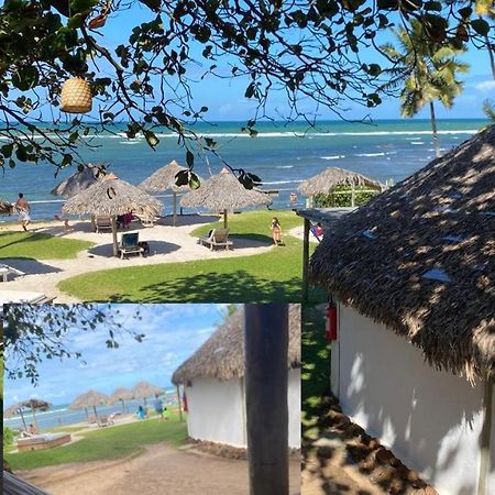 Pousada Farol Das Tartarugas Прайя-ду-Форте Экстерьер фото