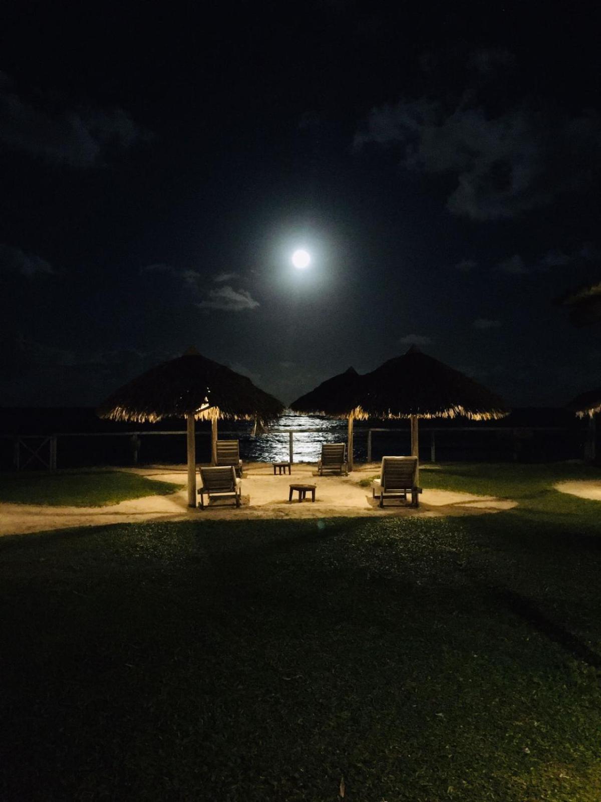 Pousada Farol Das Tartarugas Прайя-ду-Форте Экстерьер фото